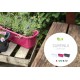 Blumenkasten mit Wasserspeicher, Untersetzer und Halterungs-Set